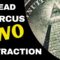Bread And Circus- NWO DISTRACTION! [CERN]